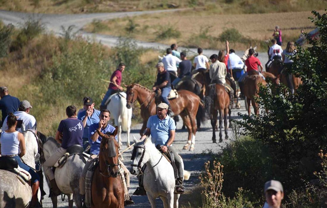 Tursoria. La trashumancia en gallinero