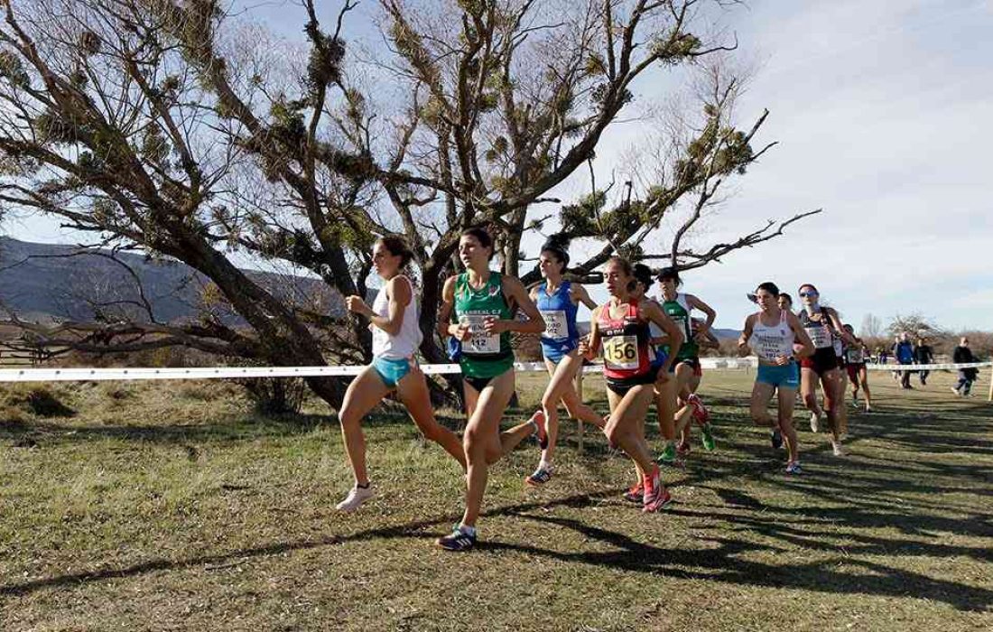 Campo a traves internacional Soria. Tursoria