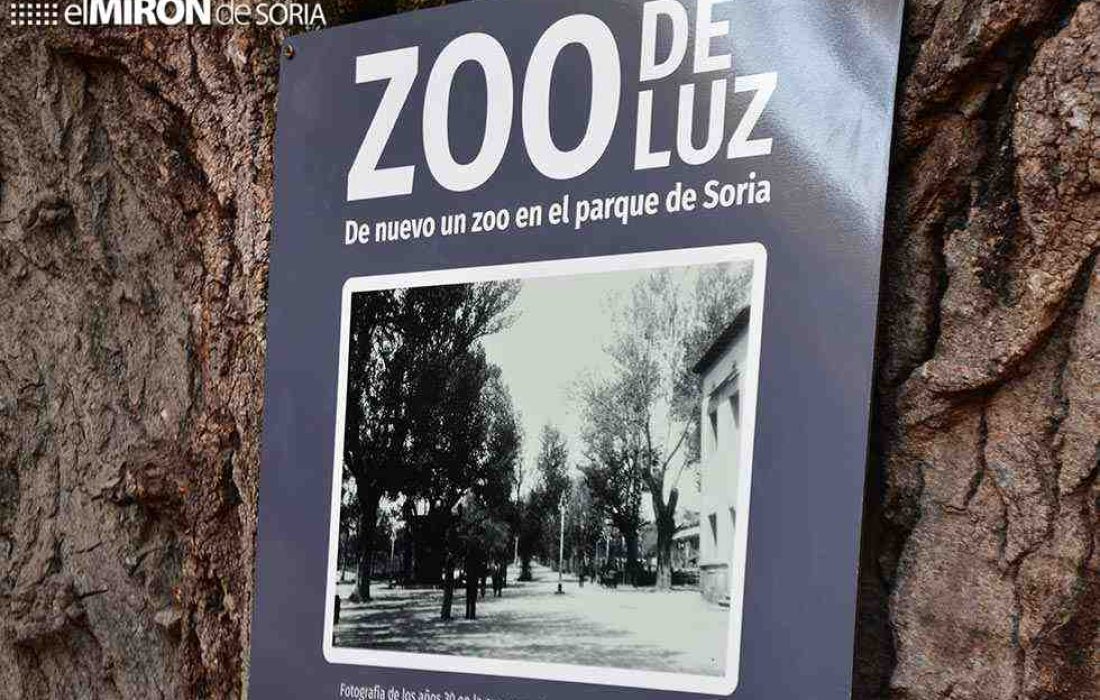 zoo de luz en Soria. Tursoria