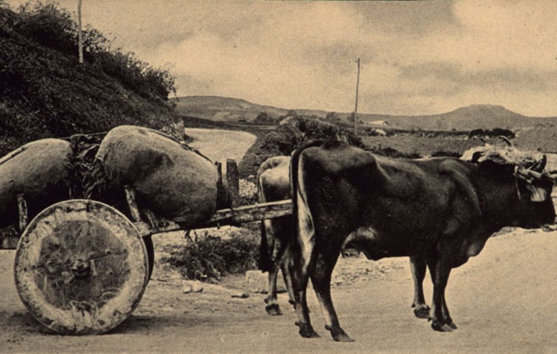 Ruta Carreteril Tursoria