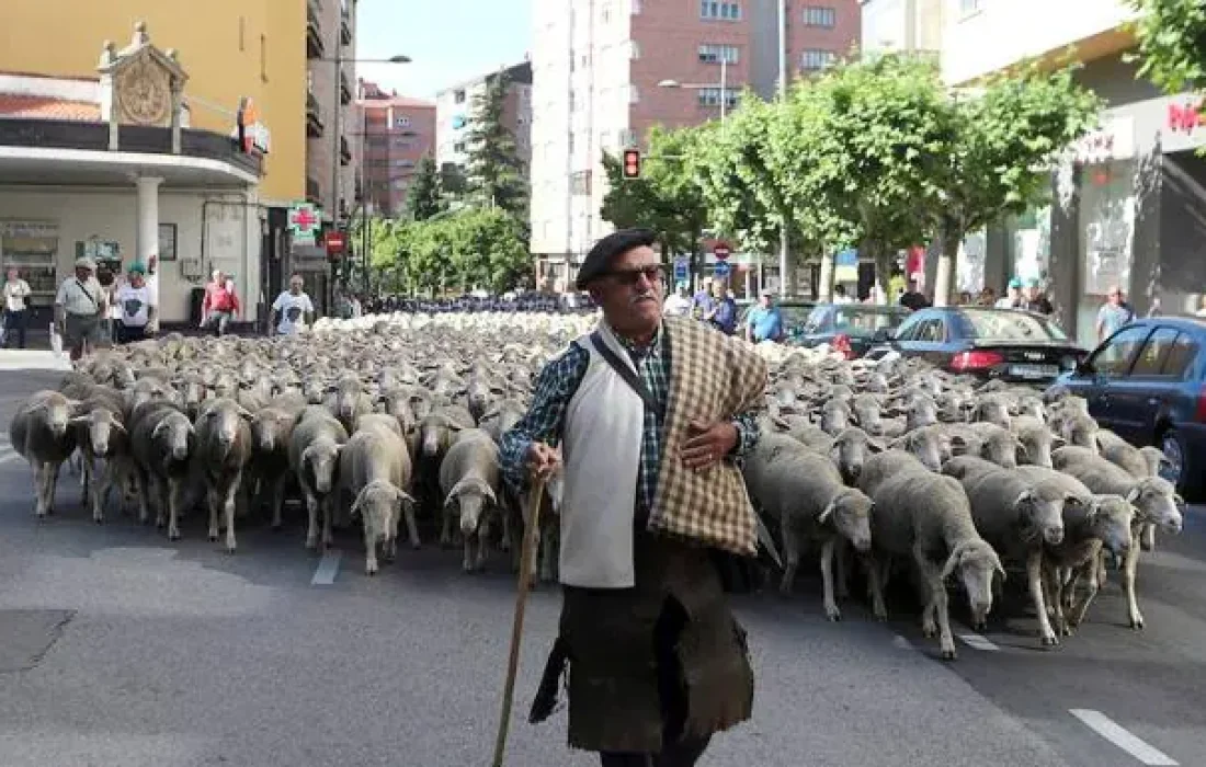 126759008-kVmF-U60272669042bvB-624x385@Hoy