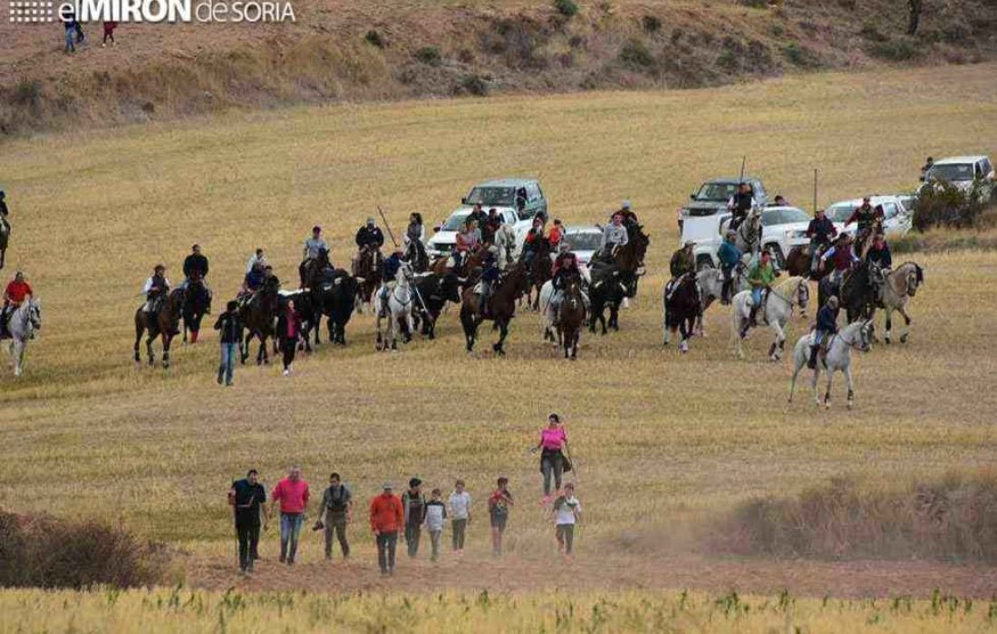 Tursoria trashumancia Agreda