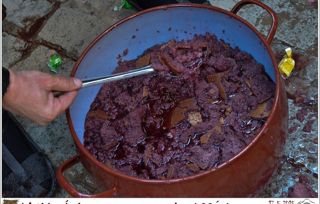 Tursoria la soparra de Almazan