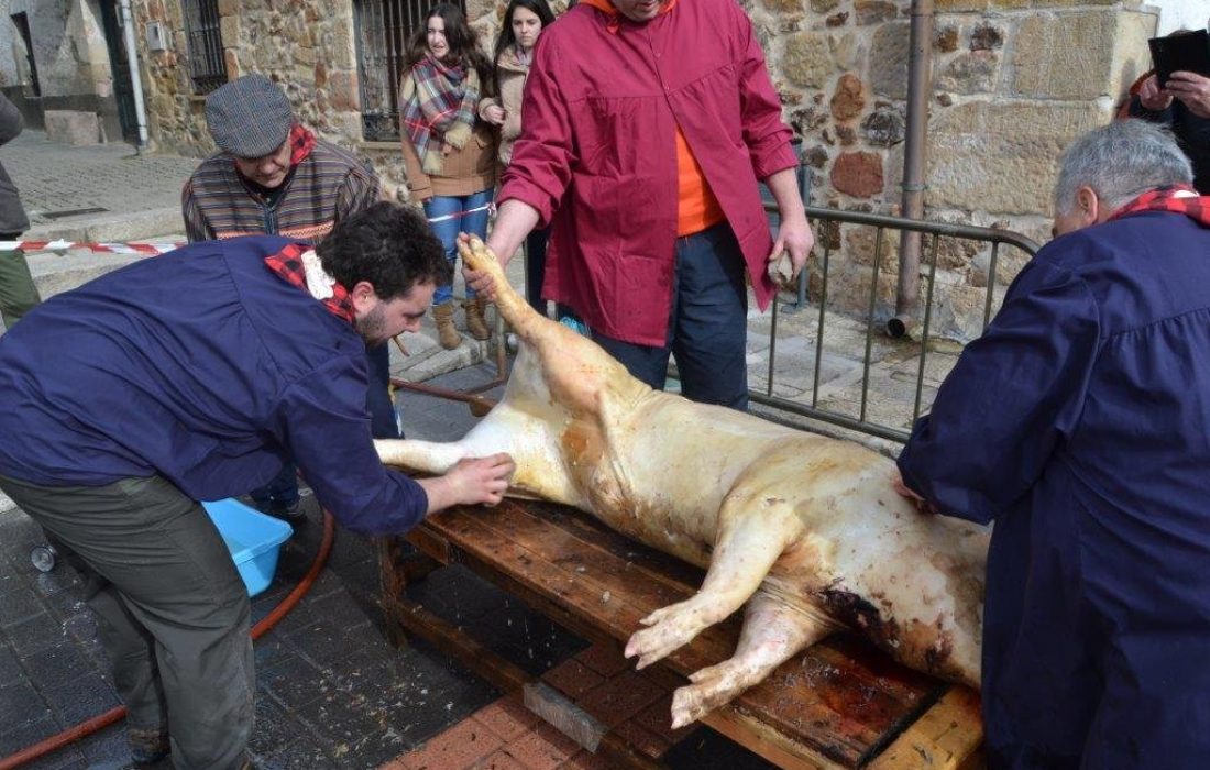 Tursoria. Matanza del cerdo en navaleno