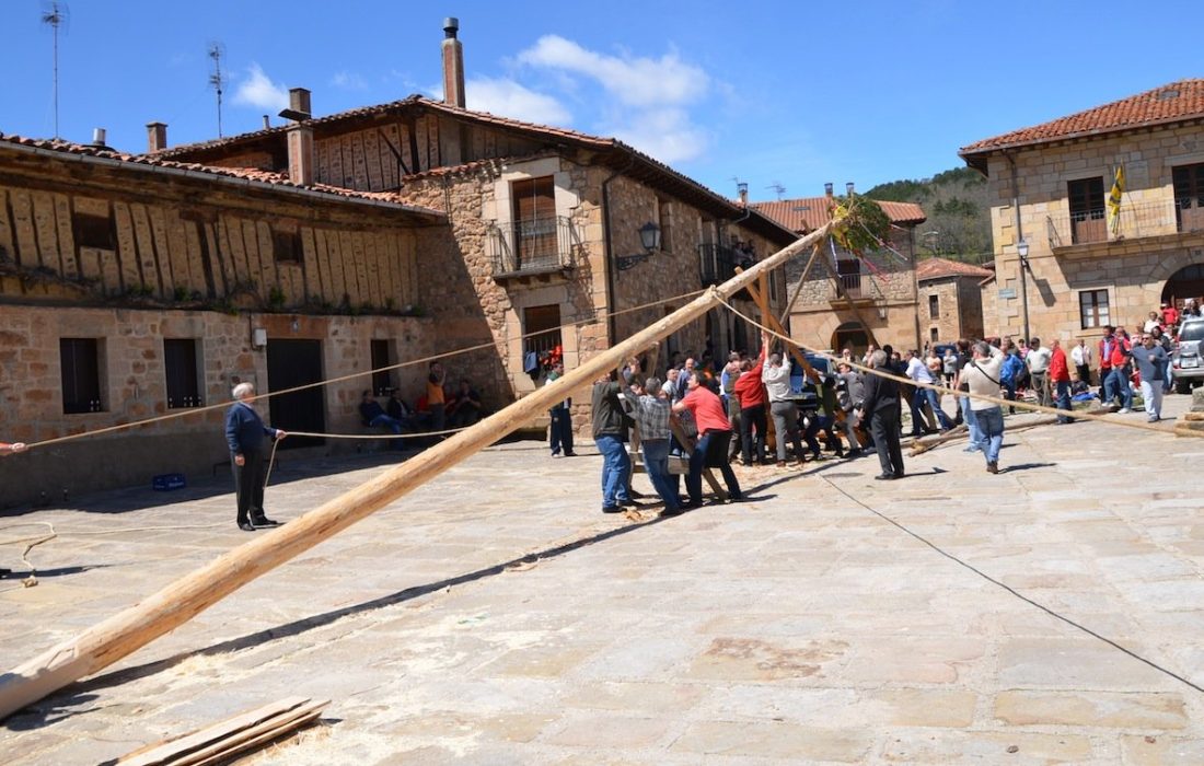 tursoria la pingada del mayo en Salduero