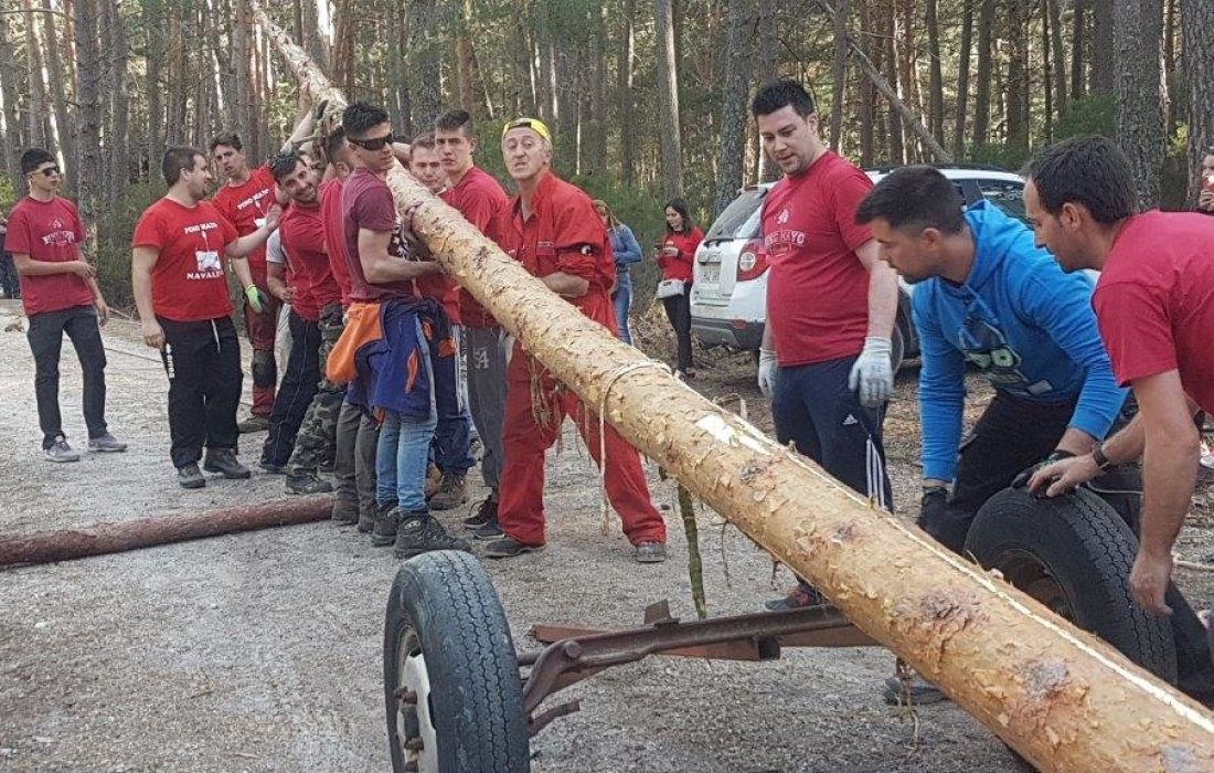 tursoria la pingada del mayo en Navaleno
