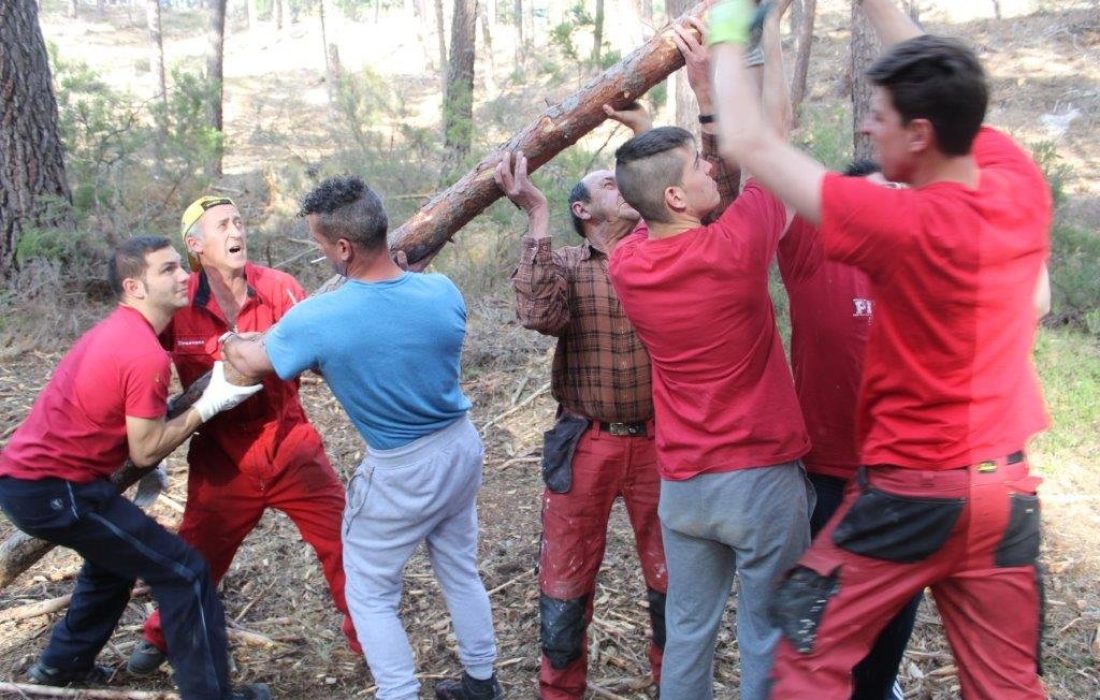 tursoria la pingada del mayo en Navaleno