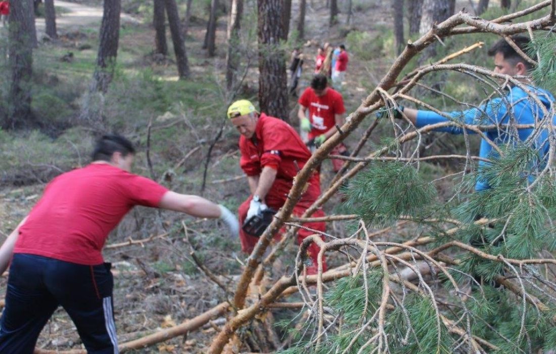 tursoria la pingada del mayo en Navaleno