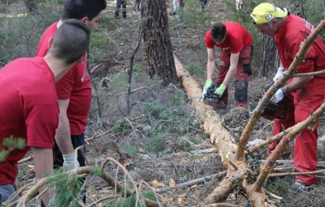 tursoria la pingada del mayo en Navaleno