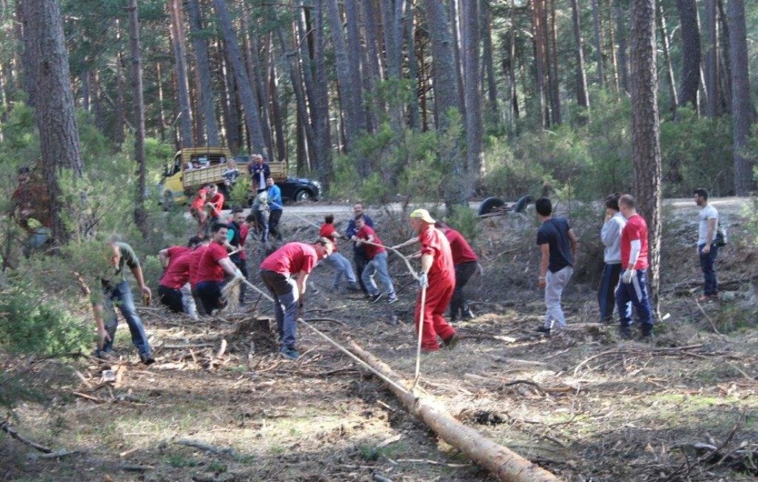 tursoria la pingada del mayo en Navaleno