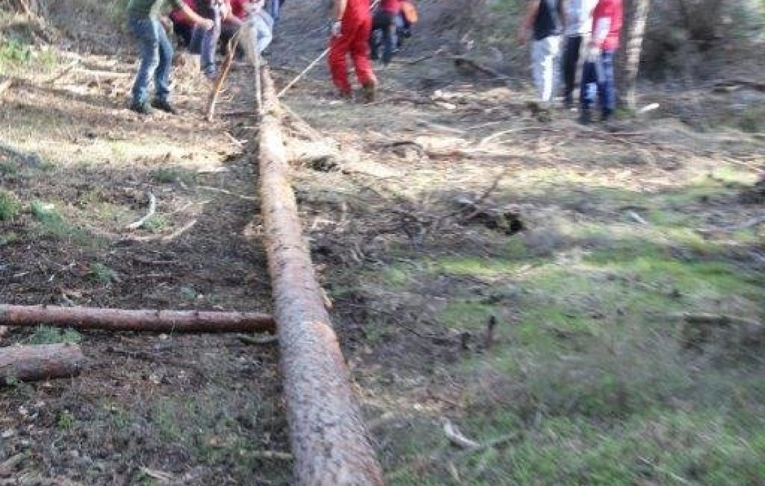 tursoria la pingada del mayo en Navaleno