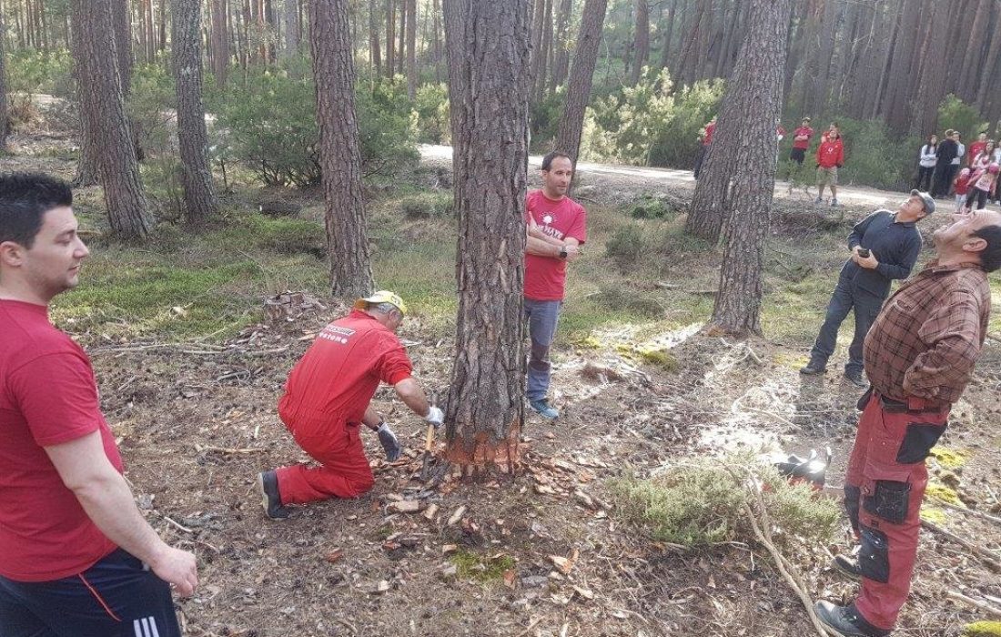 tursoria la pingada del mayo en Navaleno