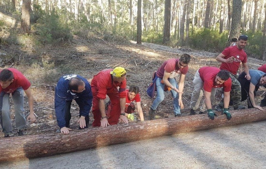 tursoria la pingada del mayo en Navaleno