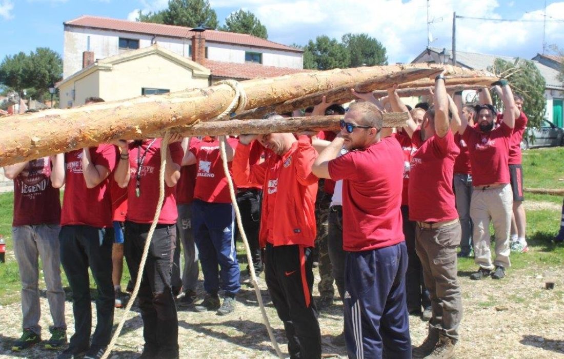 Tursoria pingada del mayo en Abejar