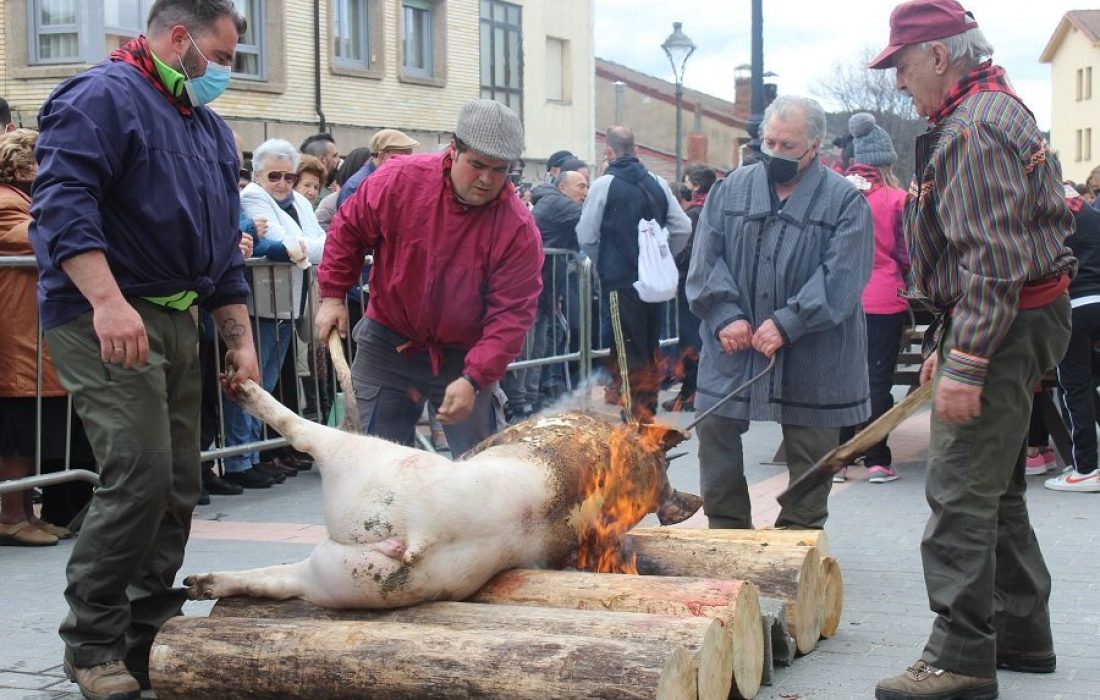 Tursoria. Matanza del cerdo en navaleno