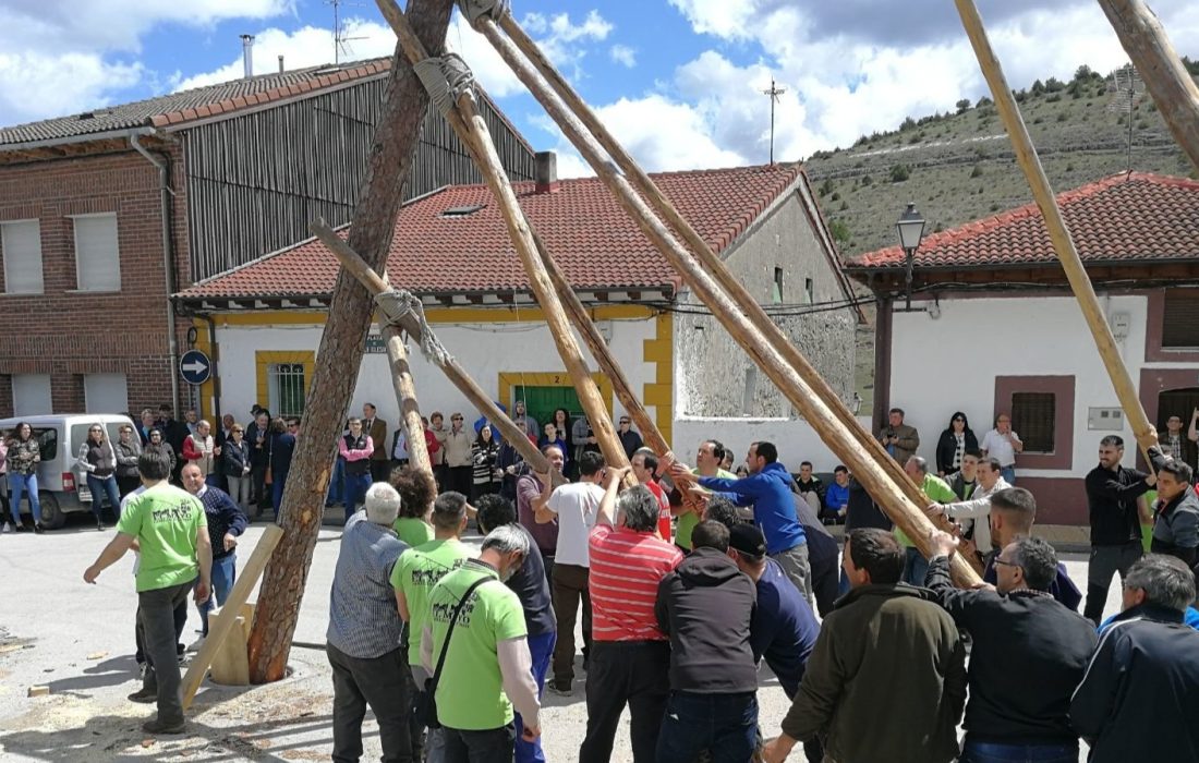 Tursoria la pingada del mayo en Cabrejas del Pinar