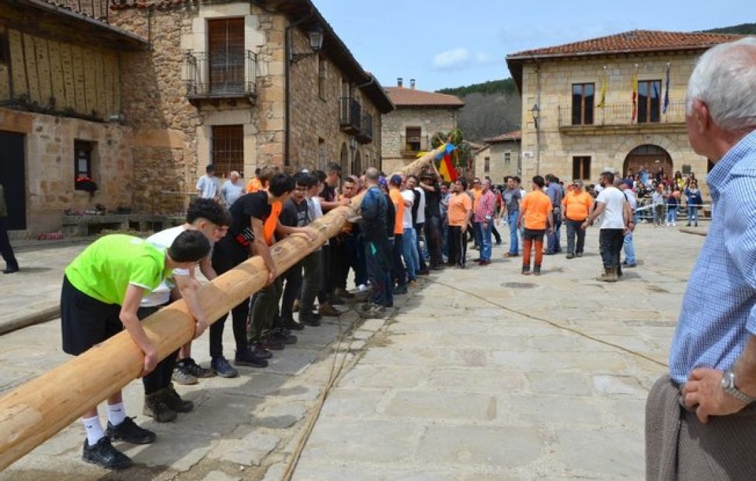 tursoria la pingada del mayo en Salduero