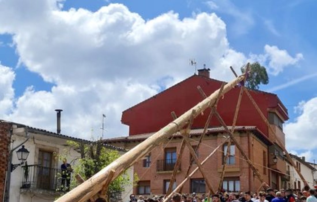 tursoria la pingada del mayo en Salduero