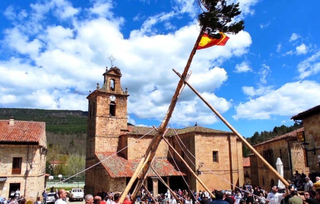 tursoria la pingada del mayo en molinos de duero