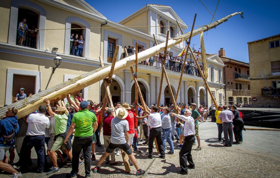 tursoria la pingada del mayo de los quintos