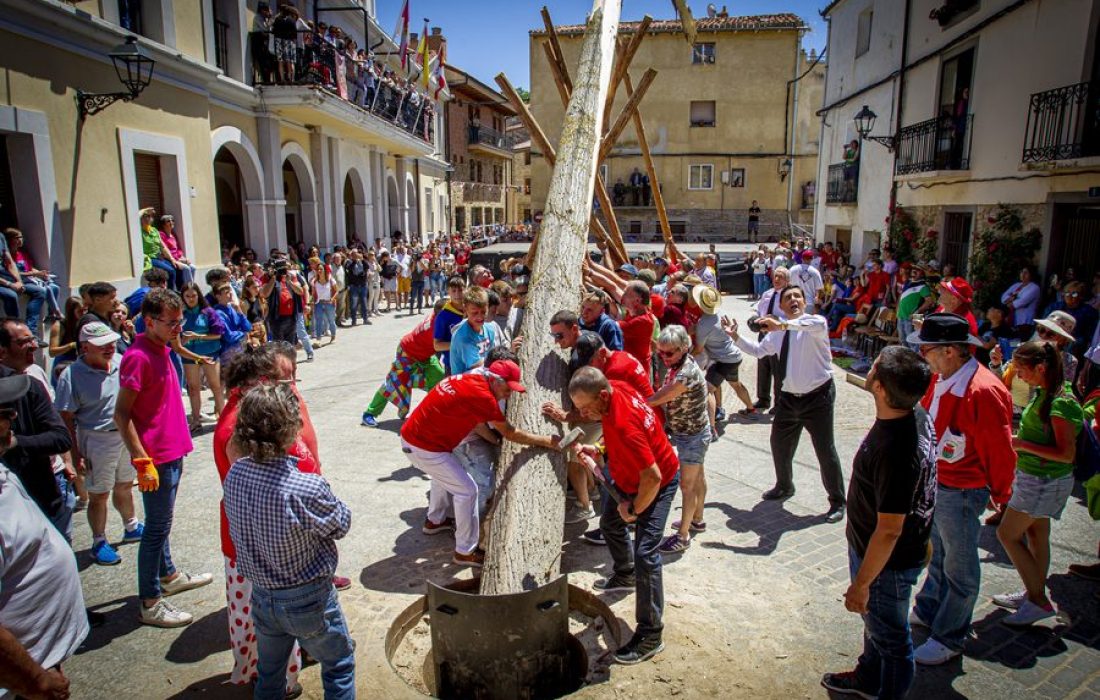 tursoria la pingada del mayo de los Quintos
