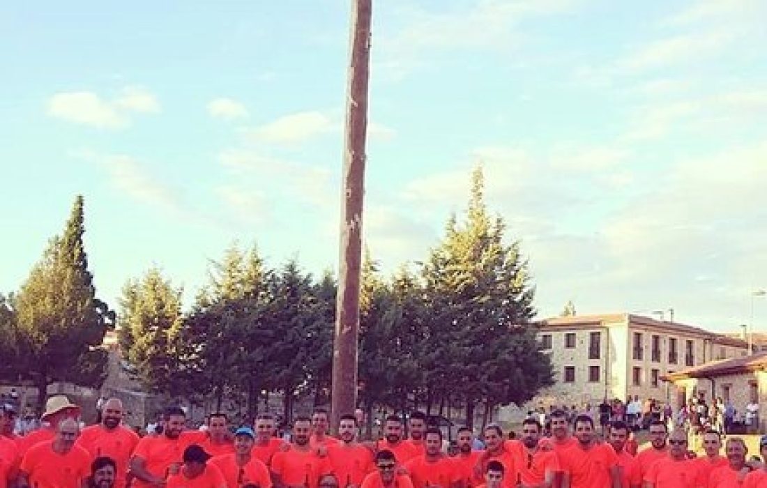 Tursoria pingada del mayo en Abejar