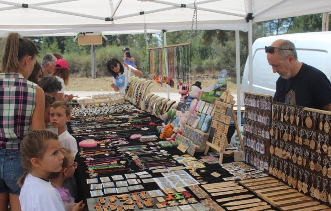 Tursoria feria ganadera en Vinuesa