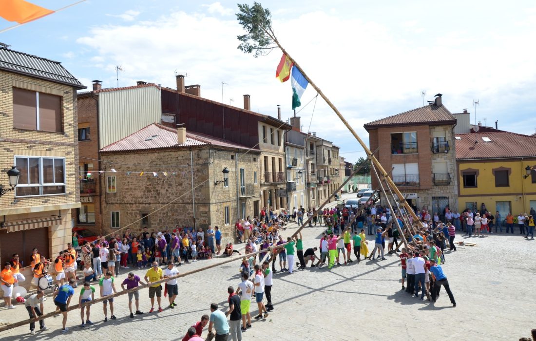 Tursoria pingada del mayo en Duruelo