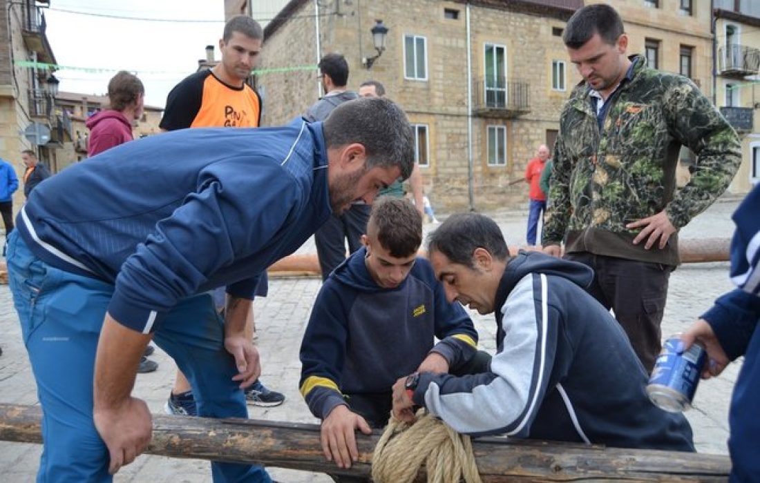 Tursoria pingada del mayo en Duruelo