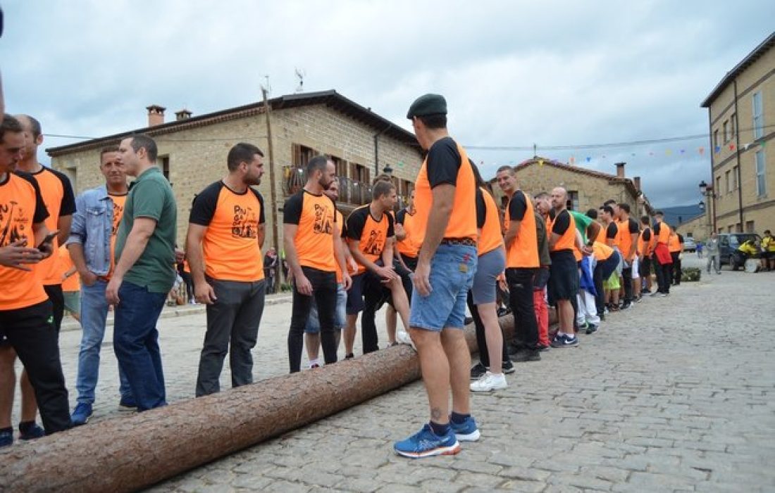 Tursoria pingada del mayo en Duruelo