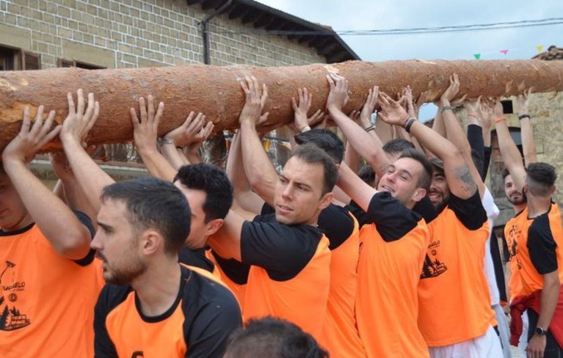 Tursoria pingada del mayo en Duruelo