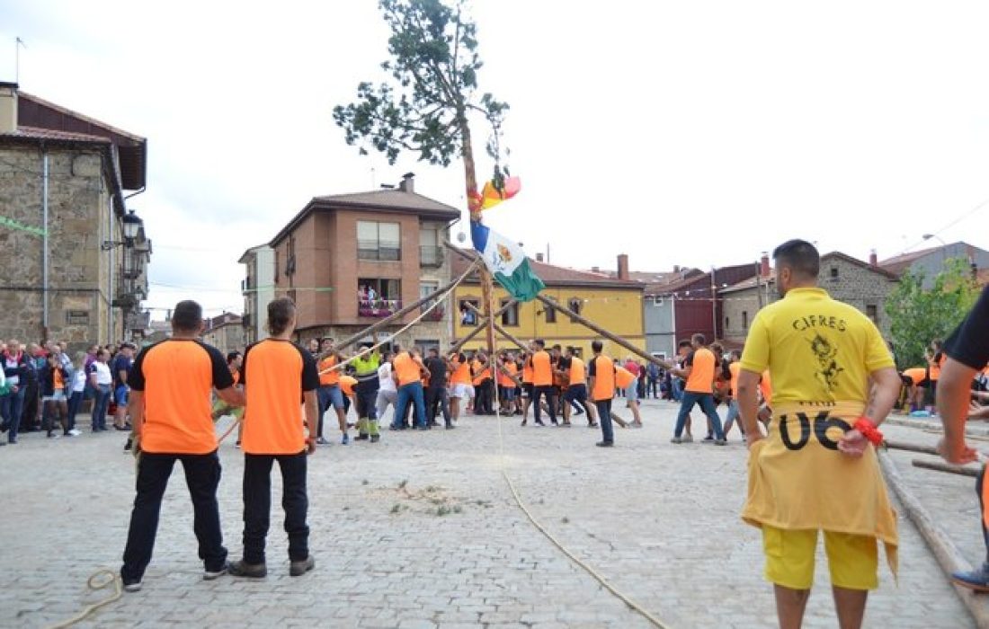 Tursoria pingada del mayo en Duruelo