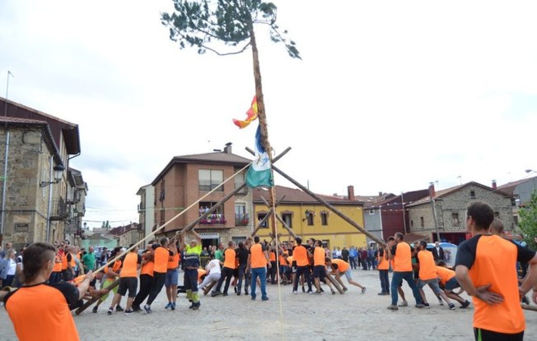 Tursoria pingada del mayo en Duruelo