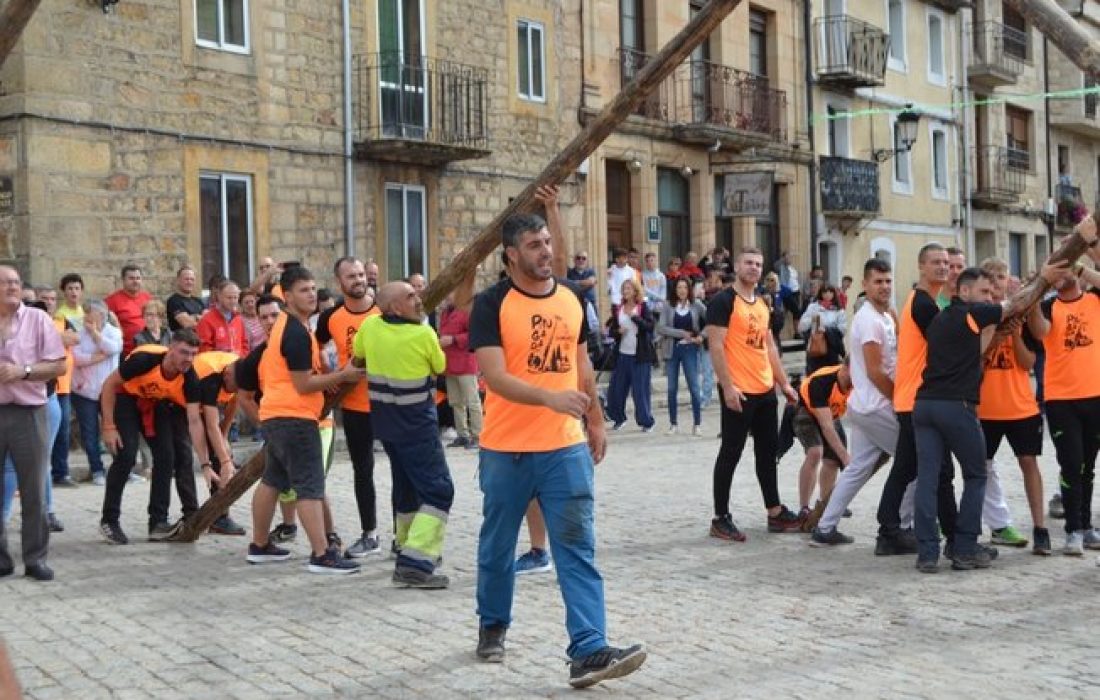 Tursoria pingada del mayo en Duruelo
