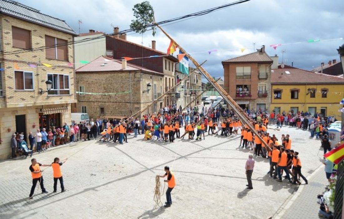 Tursoria pingada del mayo en Duruelo
