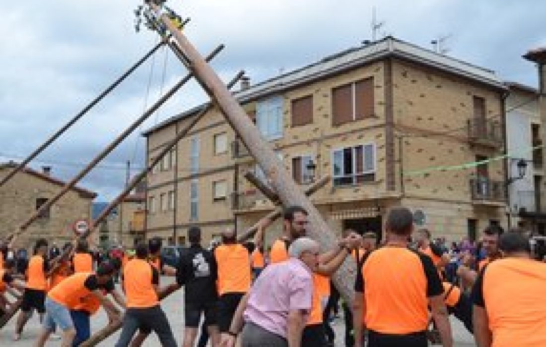 Tursoria pingada del mayo en Duruelo