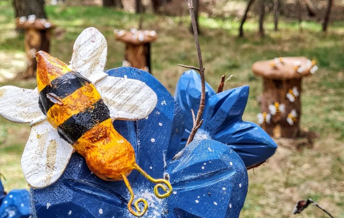 Tursoria el bosque magico de San Leonardo