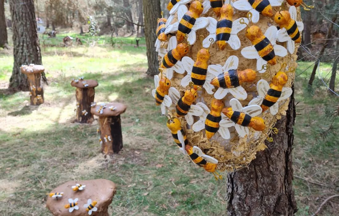 Tursoria el bosque magico de San Leonardo