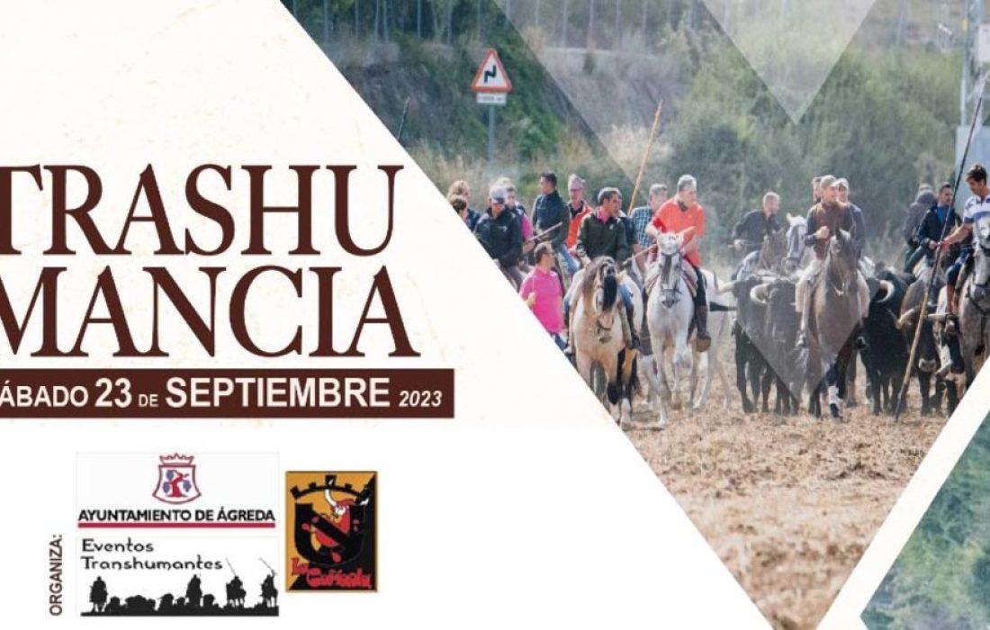 Tursoria trashumancia Agreda