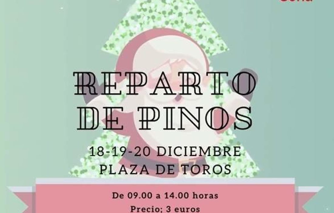 Reparto de pinos. Tursoria