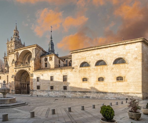 20240205_Burgo-de-Osma_Catedral_-46