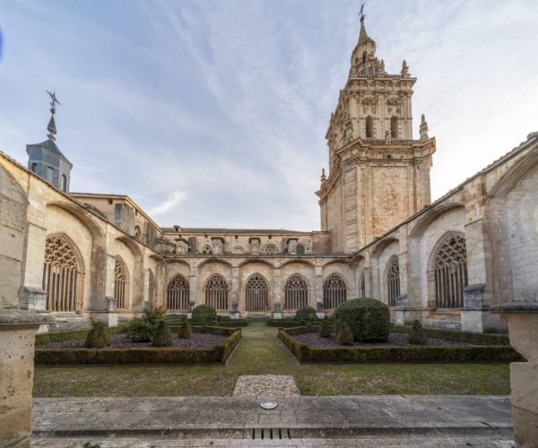 20240205_Burgo-de-Osma_Catedral_-9