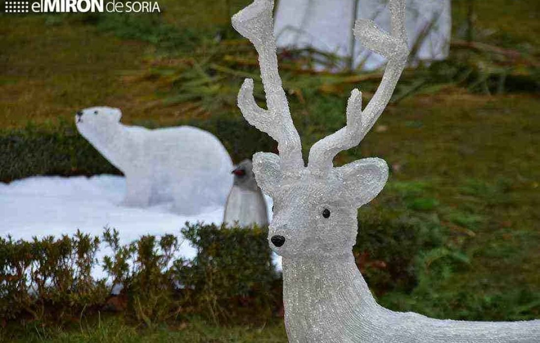 zoo de luz en Soria. Tursoria