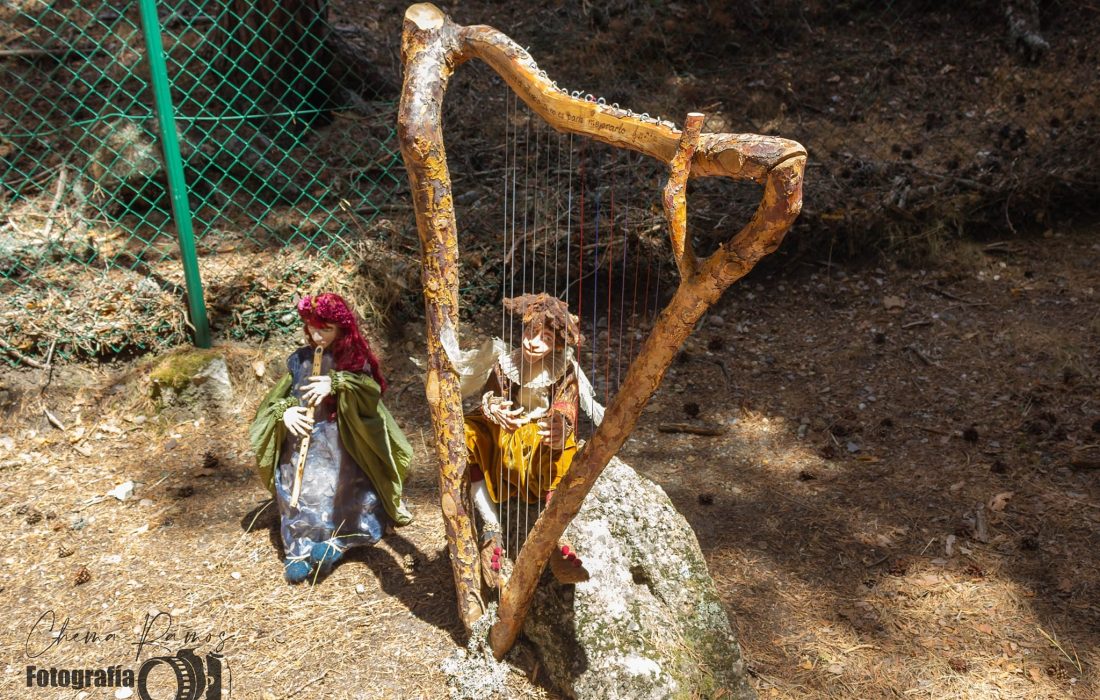 Tursoria el bosque magico