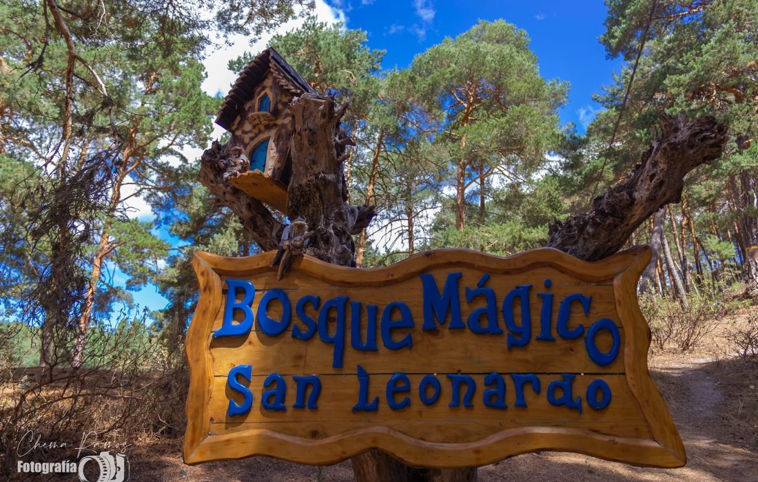 Tursoria el bosque magico