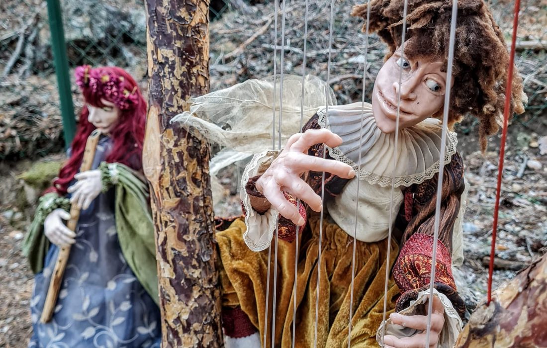 Tursoria el bosque magico