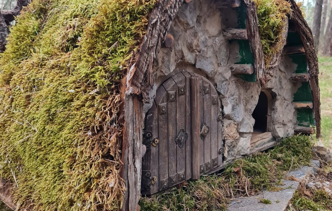 Tursoria el bosque magico