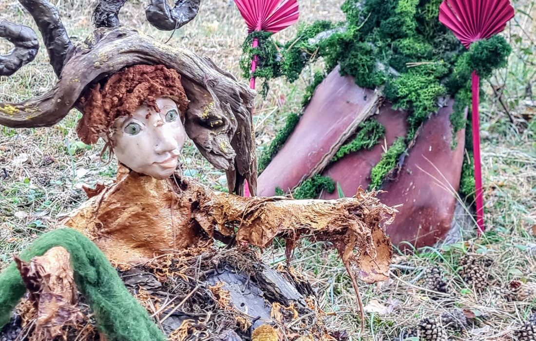 Tursoria el bosque magico