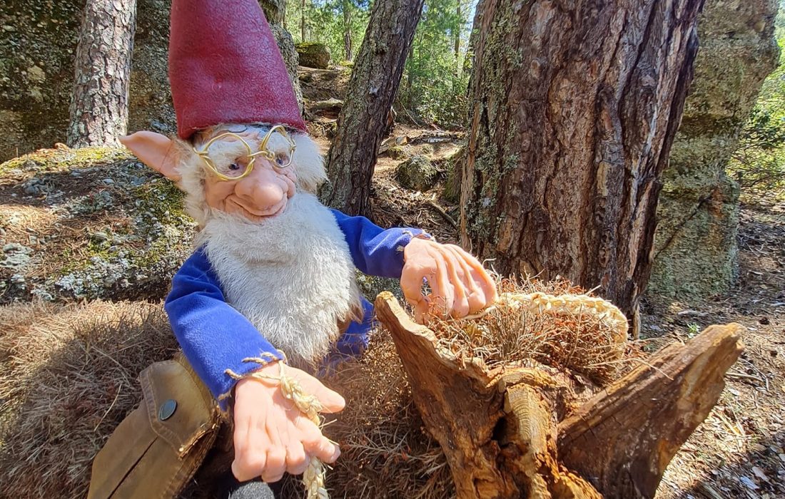 Tursoria el bosque magico