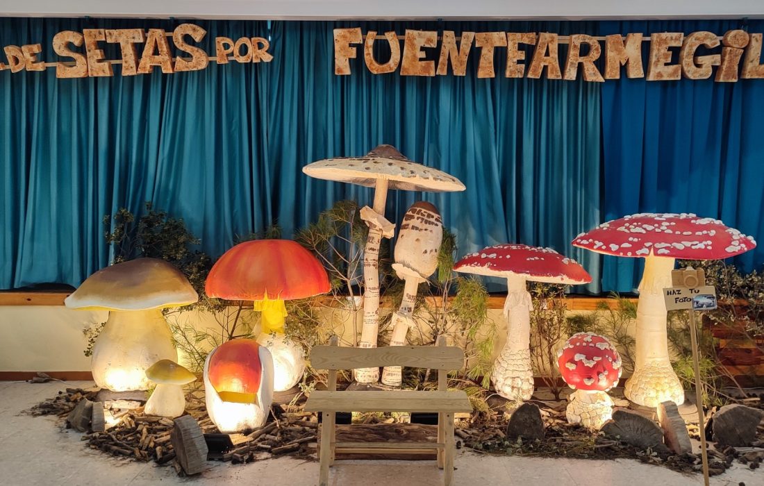 Taller reposteria micologica en Fuentearmegil. Tursoria